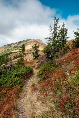Noktalı ışıkta zirveye giden yol. Dağlarda güzel bir sonbahar manzarası yamaçta renkli çayırlar var. Tepenin üstündeki mavi gökyüzünde bulutlar
