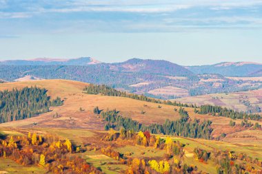Sonbahar kırsal manzarası akşam ışığında. Yuvarlanan tepelerdeki kozalaklı ormanın yanındaki kırsal alanlar.