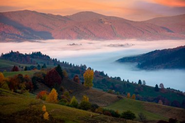 Sonbaharda gün doğumunda dağ manzarası. Bir tepenin tepesinden sis dolu uzak vadiye kadar manzara. # Güzel doğa manzarası # # Orman sırtı sabah ışığında #