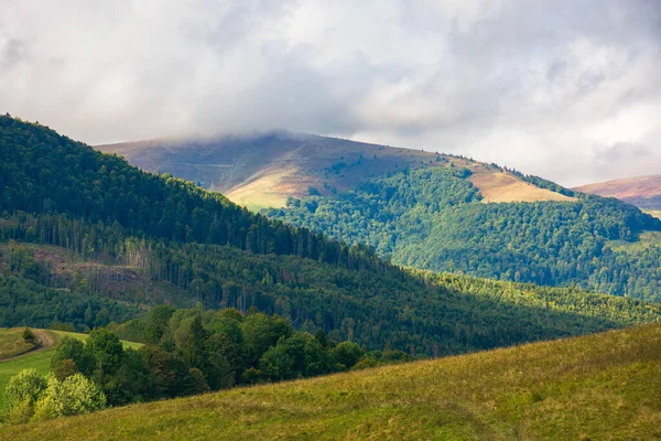 Paysage Montagneux Début Automne Forêt Épinettes Sur Les Collines Paysages — Photo