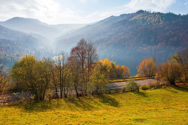 Dağlarda Sonbahar Manzarası Güzel Sisli Bir Sabah Sonbahar Yeşilliklerindeki Ormanlar — Stok fotoğraf