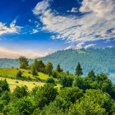 hillside dağ çayır çit