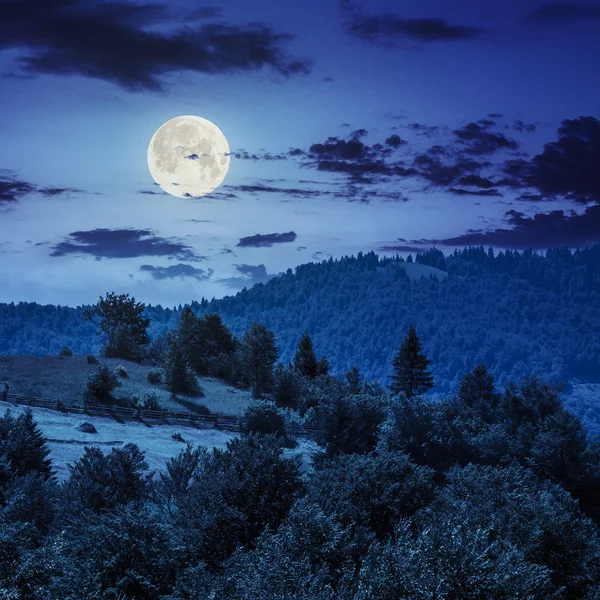 Cerca en el prado de la ladera en la montaña por la noche — Foto de Stock