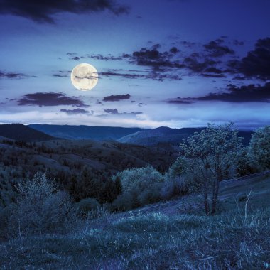 hillside gece dağ çayır çit