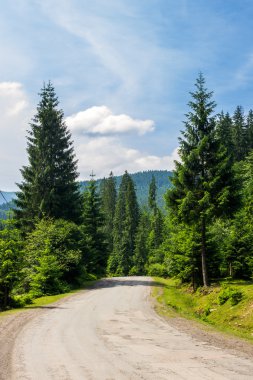 Orman Dağları'nda yolda