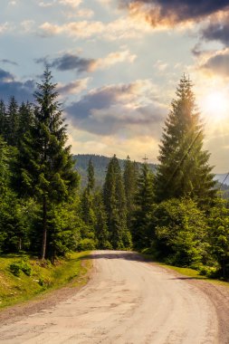 yolda ormanda günbatımı, dağlar