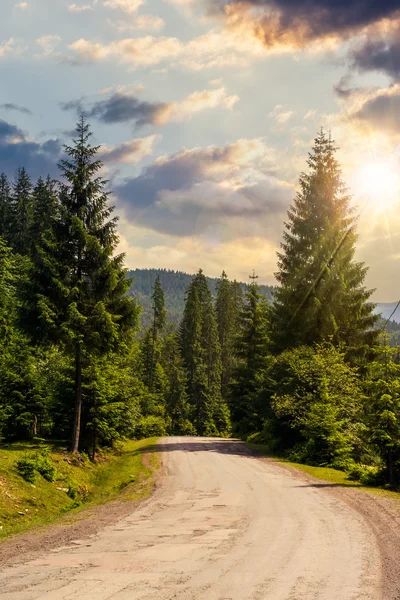 Estrada através da floresta nas montanhas ao pôr do sol — Fotografia de Stock