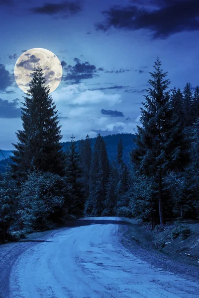 Strada attraverso la foresta in montagna di notte — Foto Stock