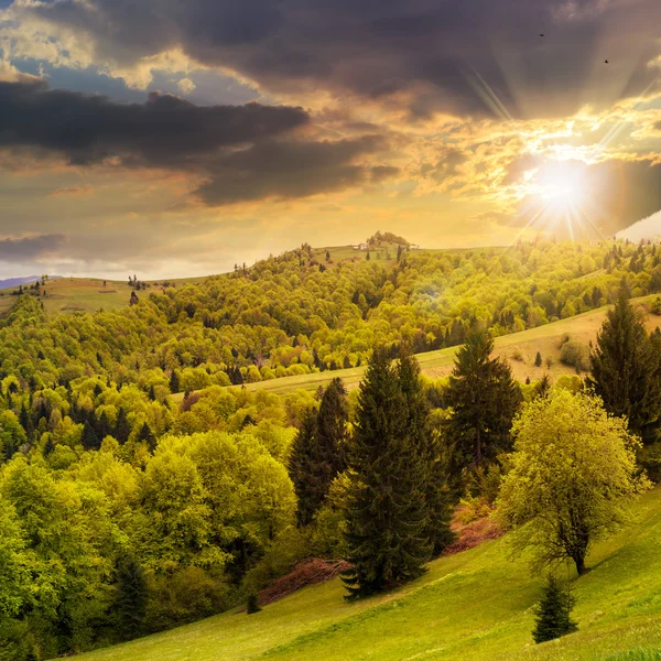 Village on hillside meadow with forest in mountain at sunset — Stock Photo, Image