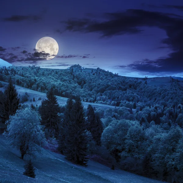 Pueblo en la ladera prado con bosque en la montaña por la noche —  Fotos de Stock