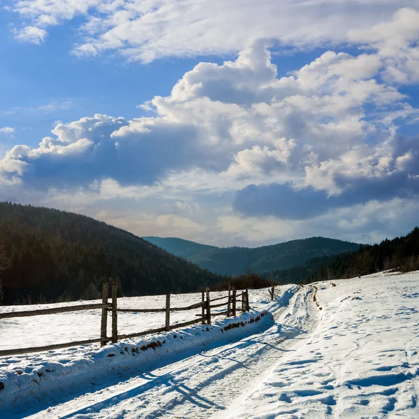 Snowy road to coniferous forest in mountains — Stock Photo, Image