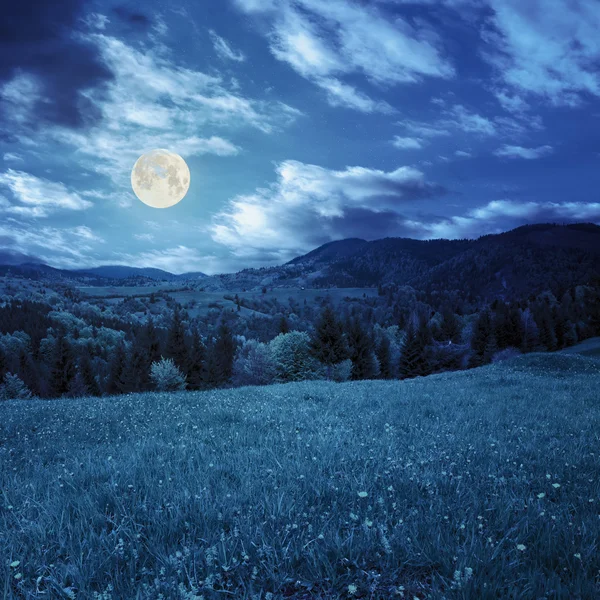 Pinheiros perto de vale em montanhas na encosta na luz da lua — Fotografia de Stock