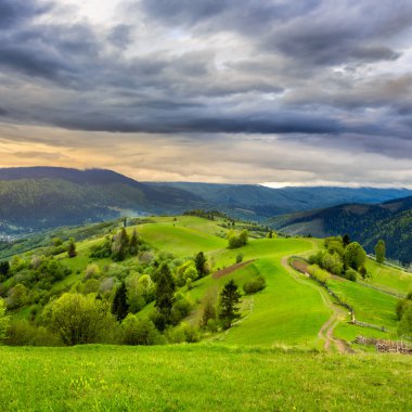 hillside yakınındaki dağ orman çit