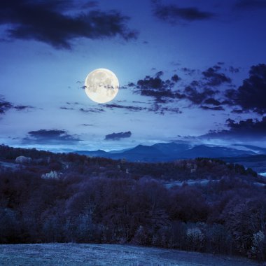 karışık orman dağlarında gece yamaca valley yakınındaki