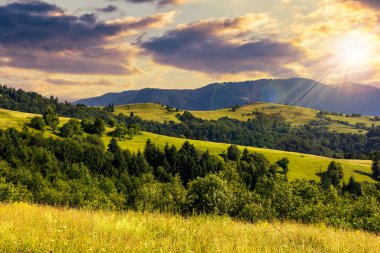 gün batımında dağ orman ile hillside çayır Köyü