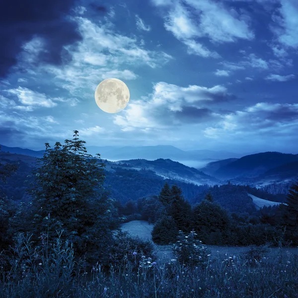 Village sur prairie à flanc de colline avec forêt en montagne la nuit — Photo