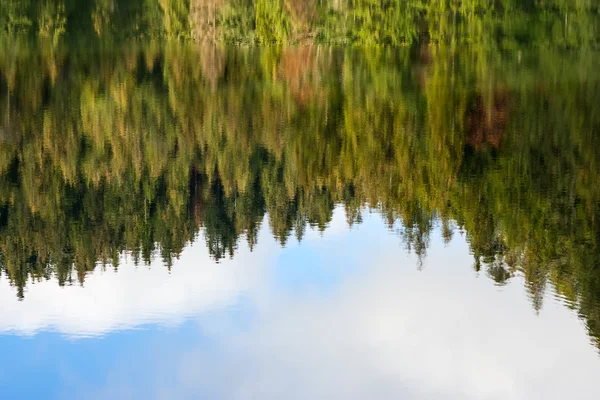 Abstracto bosque de pinos de otoño reflexión en río — Foto de Stock