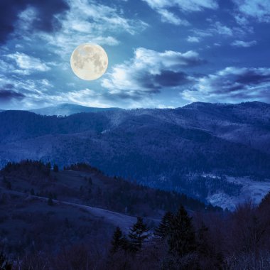 çam ağaçlarının yamaca geceleri dağlarda valley yakınındaki