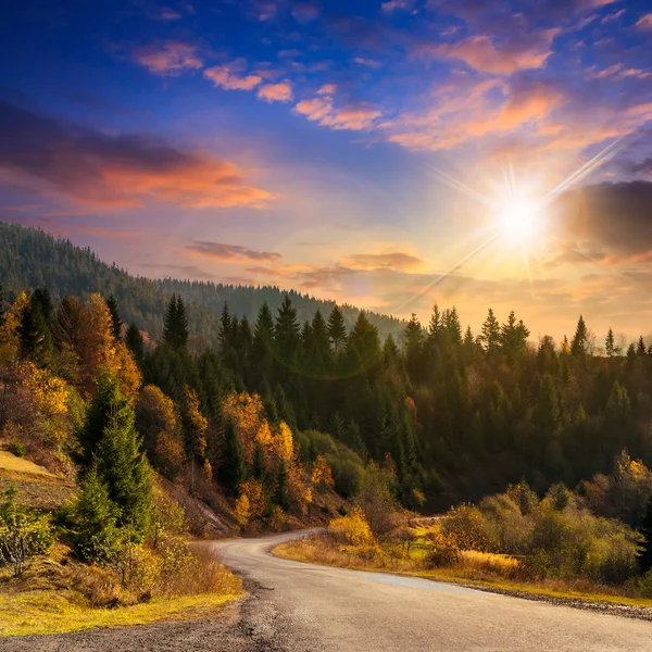 Snoet vej til skov i bjerge ved solnedgang - Stock-foto