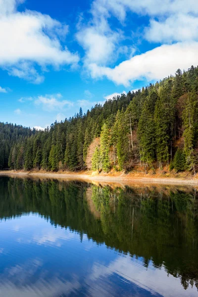 Pine forest and lake near the mountain early in the morning — Stock Photo, Image
