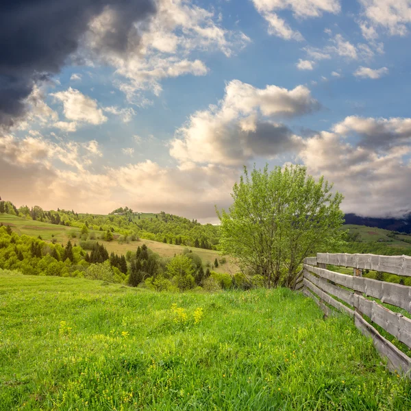 Zaun auf Hangwiese in Berg — Stockfoto
