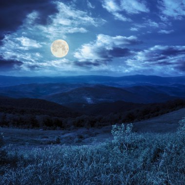 çam ağaçlarının yamaca geceleri dağlarda valley yakınındaki