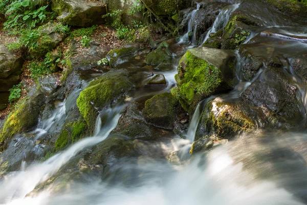 Красивый водопад выходит из огромной скалы в лесу — стоковое фото
