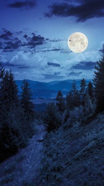 gece ay ışığı altında dağ orman içinde yürüyor.