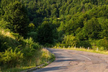 Eski kırık yol ormana gidiyor