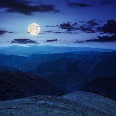 gece dağın tepesindeki yüksek vahşi bitkiler