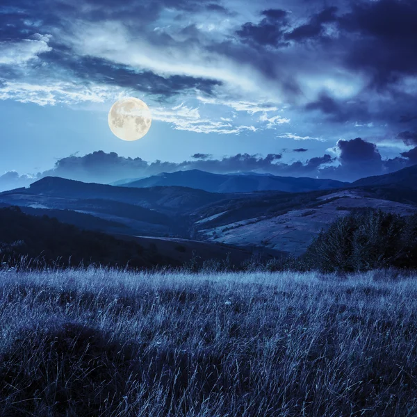 Arbres près de la vallée dans les montagnes à flanc de colline la nuit — Photo