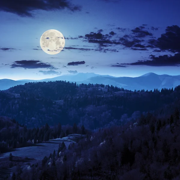 Lasu iglastego na zboczu góry w nocy — Zdjęcie stockowe
