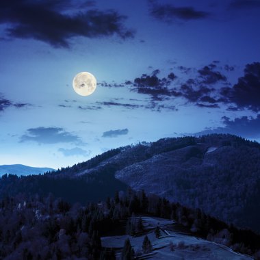 çam ağaçlarının yamaca geceleri dağlarda valley yakınındaki
