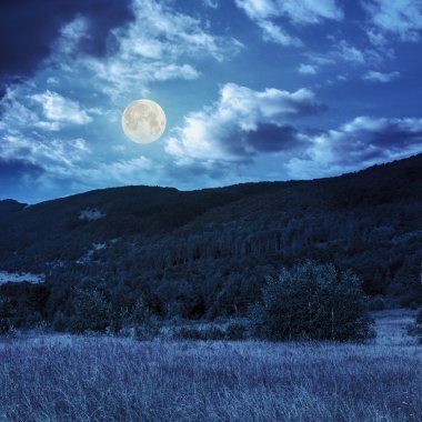 Hillside çayır ile dağ gece ormanda