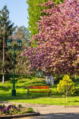 Fener ile eski şehir parkı