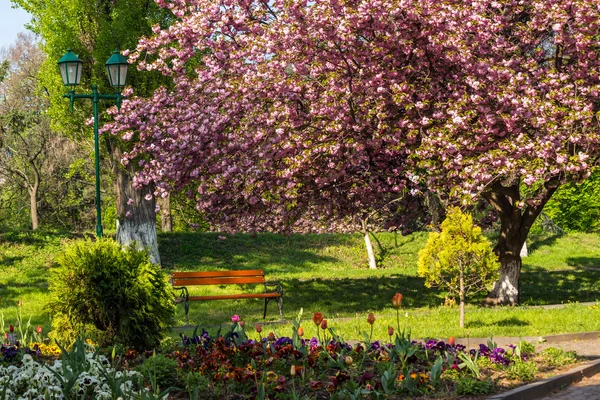 Parque da cidade velha com lanterna — Fotografia de Stock