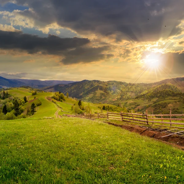 Hek op heuvel weide in berg bij zonsondergang — Stockfoto