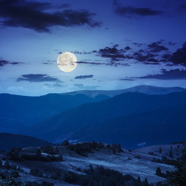 夜に丘の中腹に山の谷の近くの木 — ストック写真