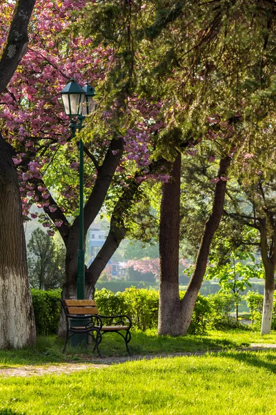 Parque da cidade velha com lanterna — Fotografia de Stock