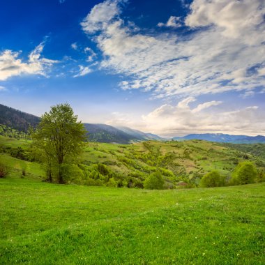 dağ sunrise adlı çayırda yamaç Köyü