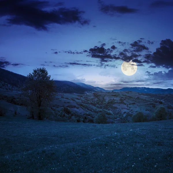 Village on hillside meadow in mountain at night — Stock Photo, Image