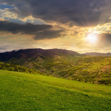gün batımında yamaca dağlarda valley yakınındaki çam ağaçları