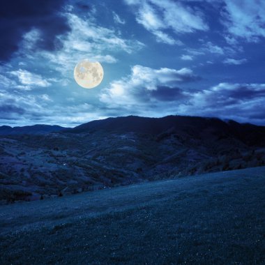çam ağaçları ile gökyüzü altında yamaca dağlarda valley yakınındaki 