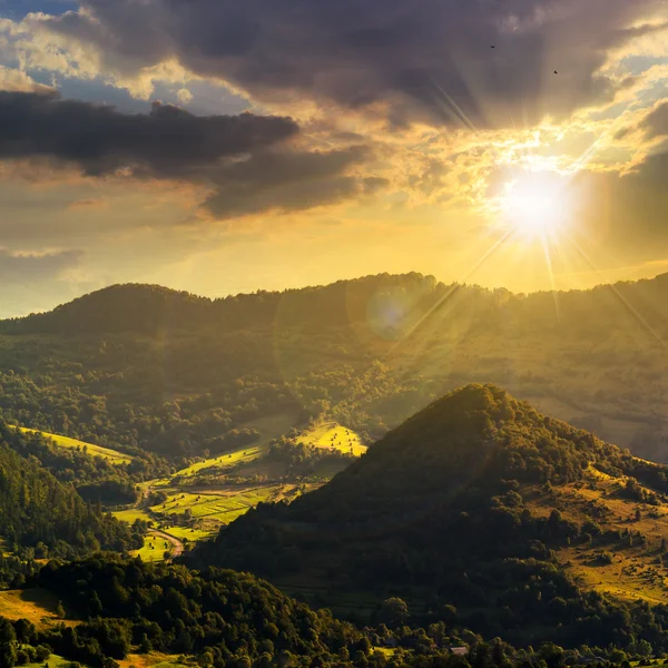 Naaldhout bos op een berghelling bij zonsondergang — Stockfoto