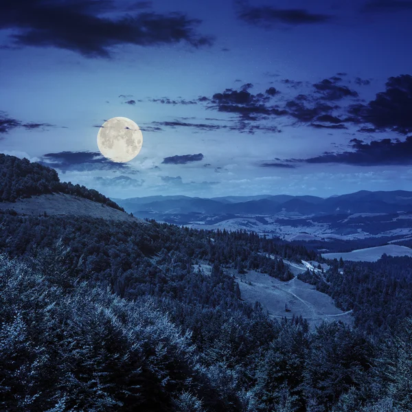 Coniferous forest on a  mountain slope at night — Stock Photo, Image