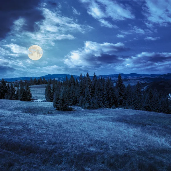 Çam ağaçları ile gökyüzü altında yamaca dağlarda valley yakınındaki — Stok fotoğraf