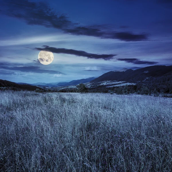 夜に山の家の近くのフィールド — ストック写真