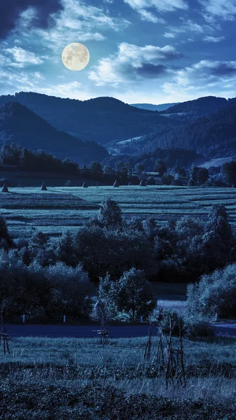 Gece dolunay hafif ev yakınlarında — Stok fotoğraf