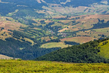 dağ orman ile hillside çayır Köyü