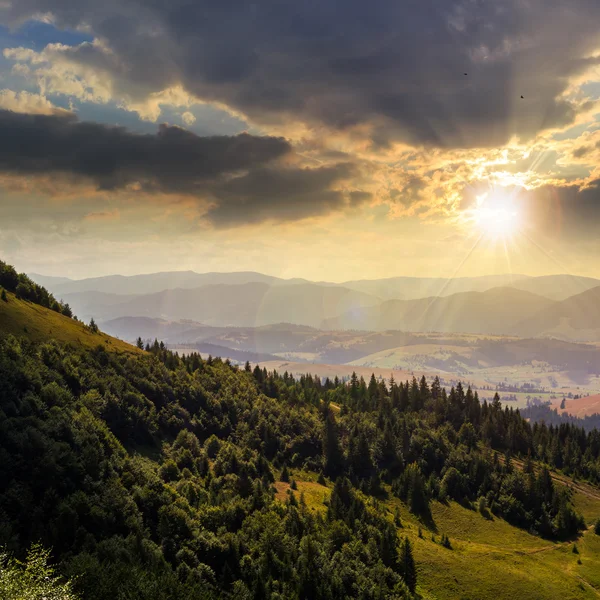 Forêt de conifères sur une pente de montagne au coucher du soleil — Photo